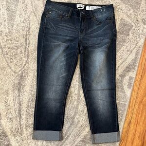 Indigo Rein denim cropped